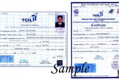 Cetificate TCIL-IT